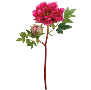 Just Cut Peony Spray