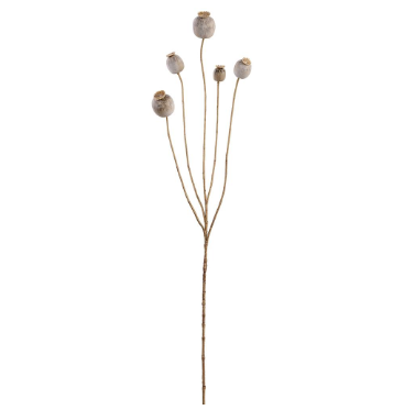 Dried-Look Poppy Pod Seed Spray