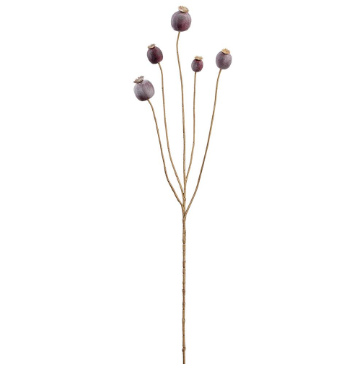 Dried-Look Poppy Pod Seed Spray