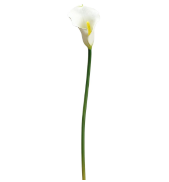 Real Feel Calla Lily Stem