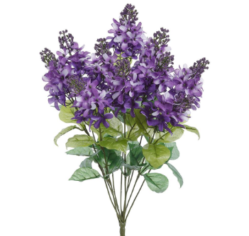 Large Lilac Bush