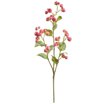 Tall Crabapple branch