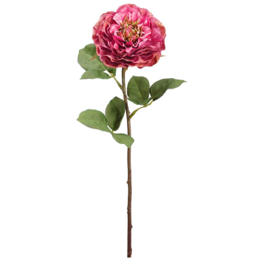 Cottage Rose spray