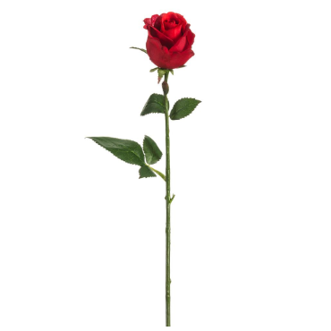 Rose Bud Spray