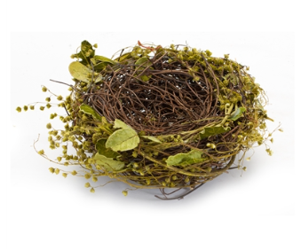 Faux Bird's Nests