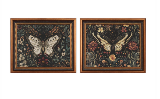 Framed Butterfly Print