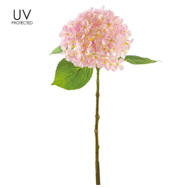U.V. Protected Hydrangea Stem