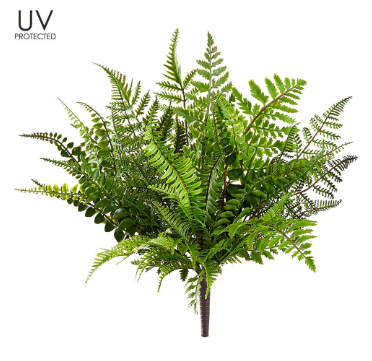 UV Protected Mixed Fern Bush