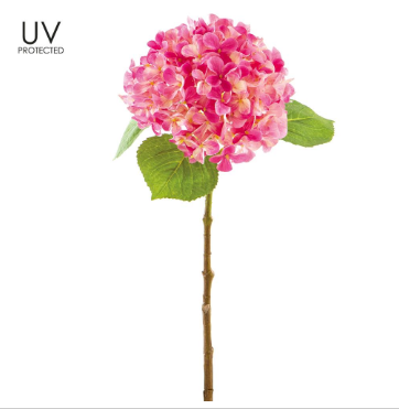 U.V. Protected Hydrangea Stem