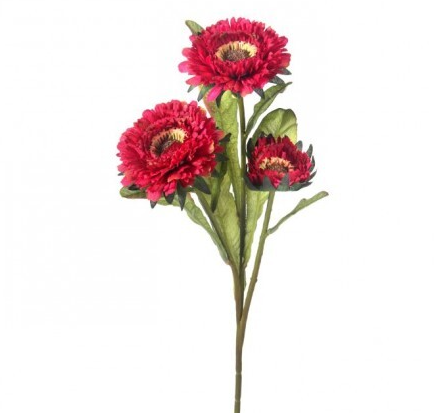 ASTER SPRAY X 3 17"