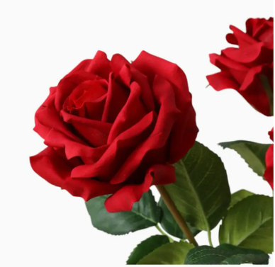 Real Touch Artificial garden Rose