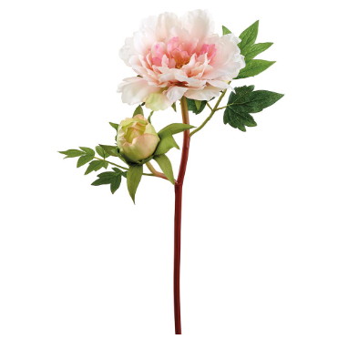 Just Cut Peony Spray