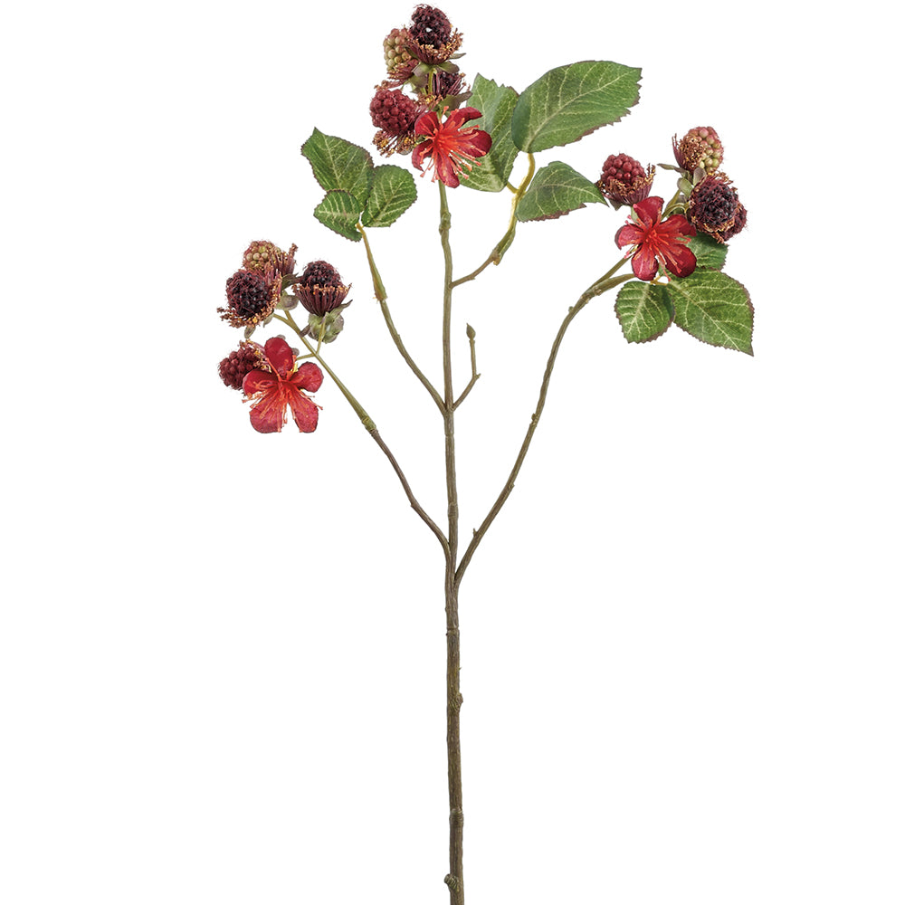 17" Raspberry Spray