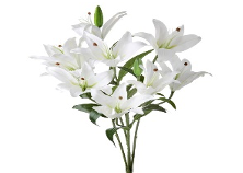 Natural Touch Rubrum Lily Plant