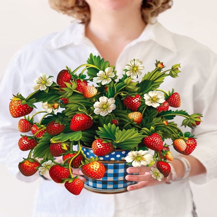 Strawberry Blossom