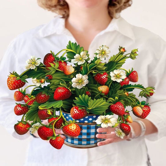 Strawberry Blossom